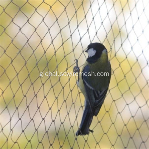 Plastic Bird Netting Easy Install Reusable HDPE Mesh Bird Netting Factory